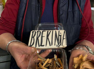 BREKINJA Vekovni lek iz prirode, nekrunisana kraljica medju lekovitim biljakama za koju se malo zna (FOTO)