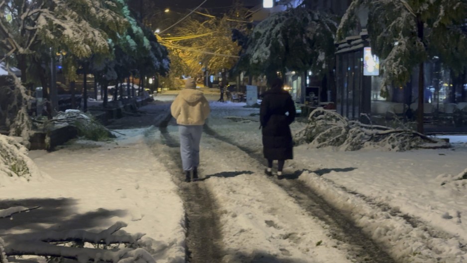 Sneg napravio haos u centru Novog Pazara, pokidane grane na drveću a veliki broj ljudi ostao bez struje: Uz veliki trud neumornih putara, svi pravci u trenutno prohodni