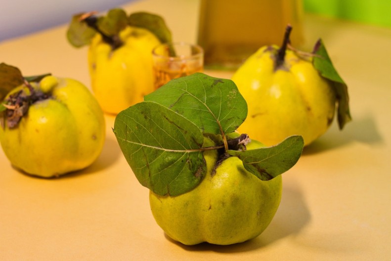 BANKE SEMENA Riznice koje čuvaju autohtone sorte povrća, voća i žitarica od nestanka, evo zašto su važne