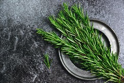 Miris večne ljubavi: Priča o ruzmarinu u srpskim svadbama i sahranama