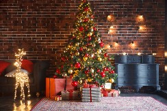 Evo kog datuma treba da okitite jelku da vas ne bije maler