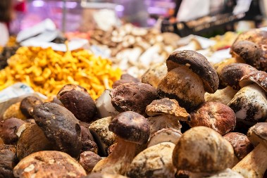 Sprečavaju dijabetes i DEPRESIJU - pečurke lavlja griva