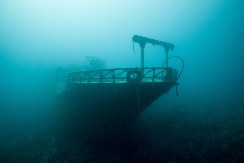 DUNAV ČUVA TAJNU U BLIZINI NEGOTINA Mnogi ne znaju priču o Dunavskom vilenjaku, evo šta se desilo