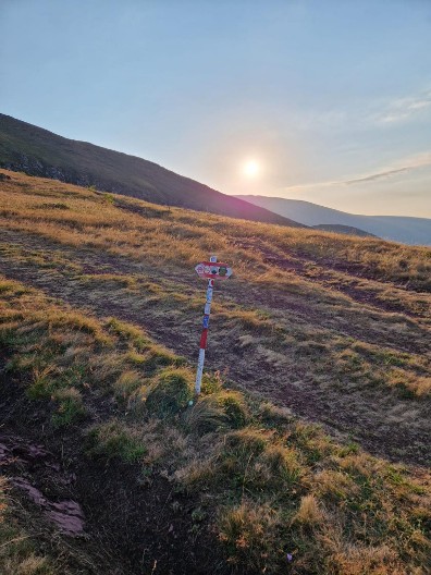 Priče o vilama, hajducima i čarobnim biljkama koje su obeležile narodnu tradiciju