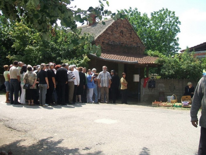 HILJADE SU STAJALE U NAJDANOVIM KRUGOVIMA: Kako je za jednu smokvu u Maloj Krsni čuo CEO SVET