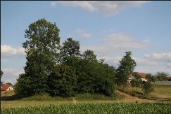 Rimsko groblje nasred livade kod Požege: Arheološka riznica u Visibabi, do sada registrovano 29 spomenika