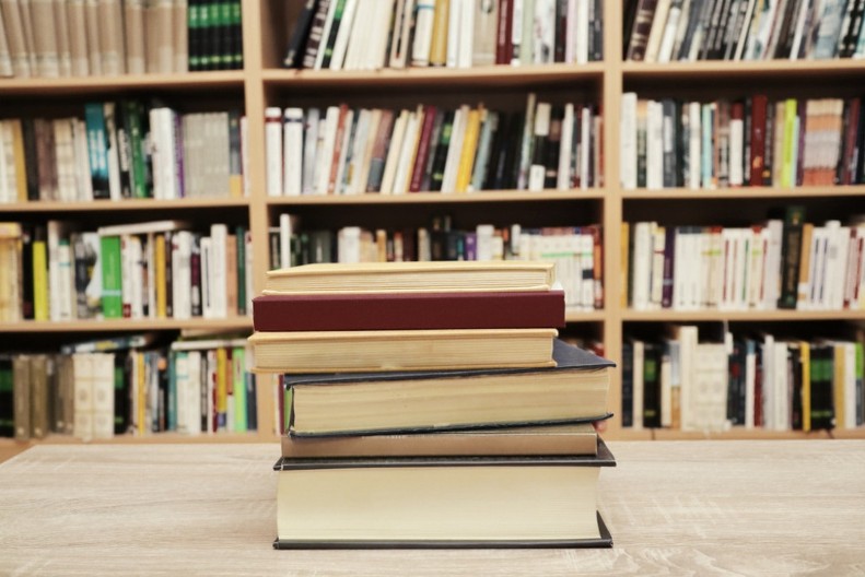 20 ROMANA DOMAĆIH PISACA KOJE SVAKO MORA BAR JEDNOM DA PROČITA: Jeste li čitali bar 5?