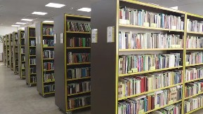 Čačani vole da čitaju, ovo su najtraženije knjige u prošloj godini: Pod krovom gradske biblioteke "Vladislav Petković Dis" spremno 200.000 naslova domaće, svetske i dečje književnosti