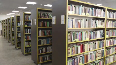 Čačani vole da čitaju, ovo su najtraženije knjige u prošloj godini: Pod krovom gradske biblioteke "Vladislav Petković Dis" spremno 200.000 naslova domaće, svetske i dečje književnosti