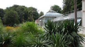 SPOMENIK PRIRODE U SAMOM SRCU BEOGRADA: Lepote Botaničke bašte "Jevremovac" se ne mogu opisati rečima!