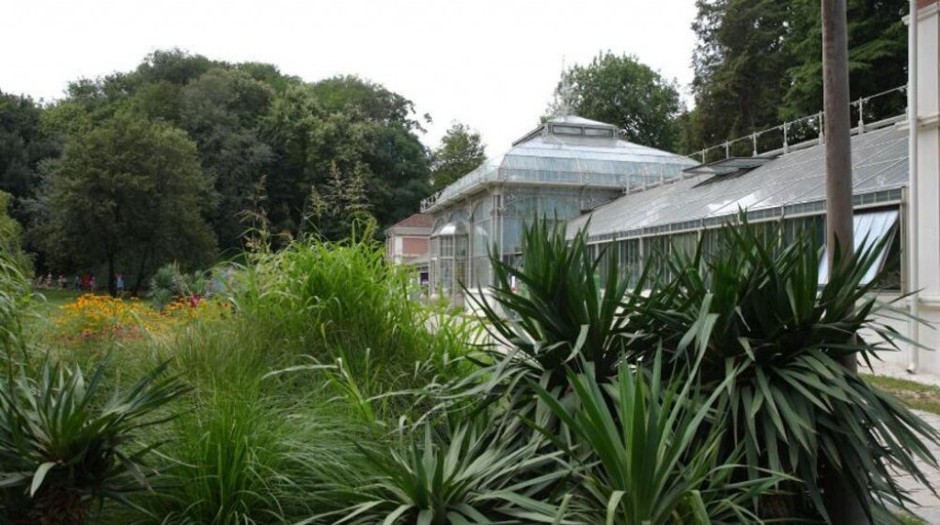 SPOMENIK PRIRODE U SAMOM SRCU BEOGRADA: Lepote Botaničke bašte "Jevremovac" se ne mogu opisati rečima!