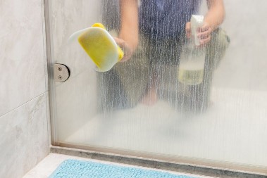 Vodoinstalater pokazao Dragani trik za čišćenje kamenca i buđi: Vodokotlić i wc šolja blistaju bez ribanja