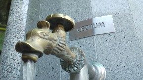 U ovu banju u Srbiji svi hrle! Cene bagatela, priroda kao sa razglednice - za male pare se odmoriš ko čovek (FOTO)