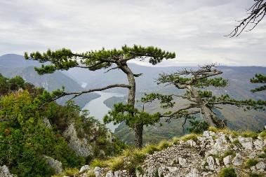 Najlepša reka Srbije: Zašto Drina nosi dušu pesnika i putnika?