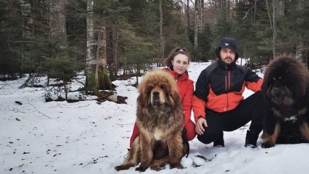 Nevena i Zoran čitavu svoju ušteđevinu dali za tibetskog mastifa od 10.000 evra