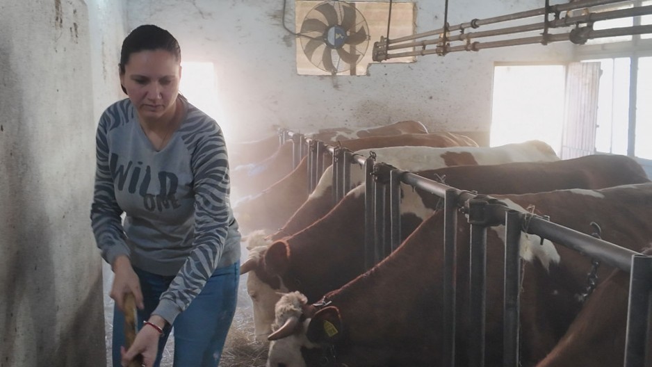 Ona je prava heroina koja radi od jutra do mraka i nikad se ne žali: Jelica iz sela Gvozdac ima troje dece i veliko imanje, pokazuje da žene mogu sve