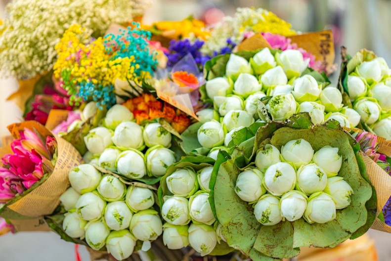 Proglašen je za cvet godine 2025: Sadi se u martu, a u vazi opstaje 12 dana!