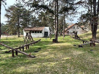 Vožnja biciklom kroz Deliblatsku peščaru: Srpska avantura među dinama