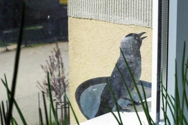 Kada ptica udari u prozor: Upozorenje iz narodnog predanja ili slučajnost?