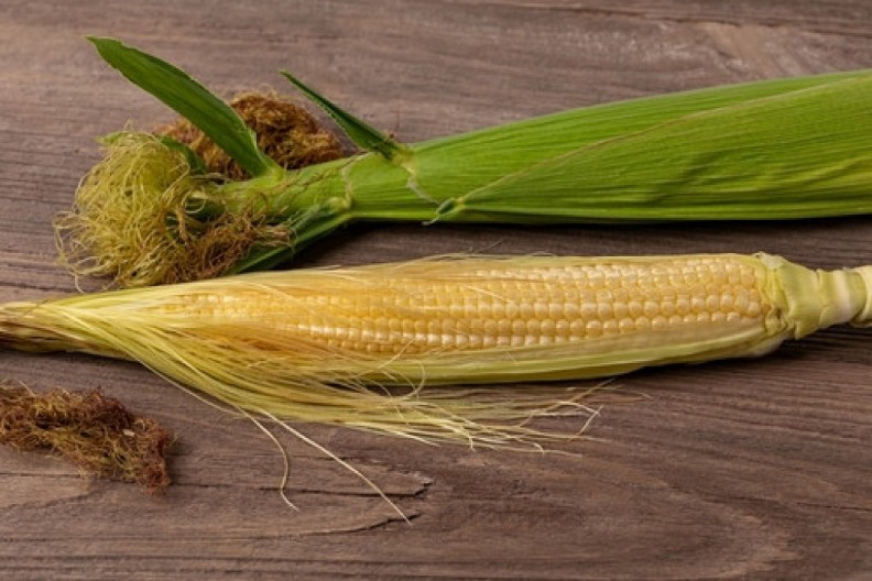 Zašto se verovalo da proja „ne sme da se seče naopako“: Mitološko značenje kukuruza u ishrani i narodni recept za proju sa koprivom