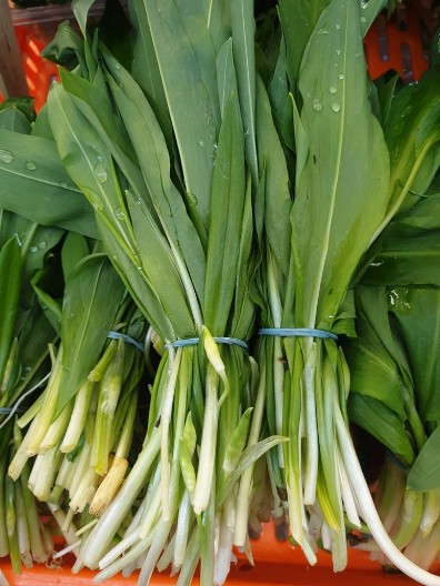 Ova vitaminska bomba košta samo 50 dinara! Ima je gde hoćete na pijacama, a ovo su njena lekovita dejstva! (FOTO)