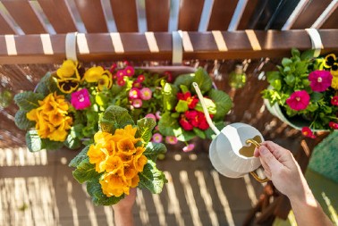 Kada sadite cveće, zakopajte mrvicu ovoga na dno saksije: Za nekoliko dana bujaće kao lude