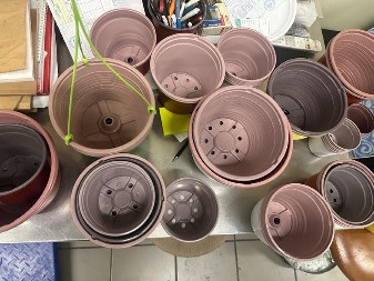 Saksija bez semena: Zašto su žene sadile praznu zemlju kada u kući stoji misao koju niko ne zna da izgovori