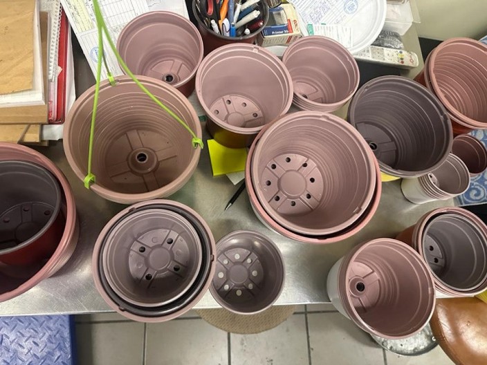 Saksija bez semena: Zašto su žene sadile praznu zemlju kada u kući stoji misao koju niko ne zna da izgovori