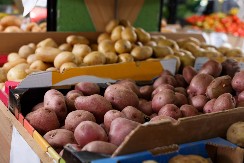 Bez njega se ne može zamisliti nedeljni ručak, u čačanski kraj ga doneli kaluđeri: Guča je prestonica krompira u tom delu Srbije, i slavili su svoj dan
