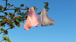 Ljudi širom sveta donji veš zakopavaju u bašte, a iza ovoga se krije savršeno dobar razlog