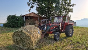 Sjajne vesti za poljoprivrednike Kladova: Deset miliona dinara izdvaja se za subvencije, Nikolić već uručio 31 rešenje za ostvarivanje prava na podsticaje