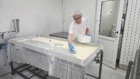 Dnevno se preradi do 3.000 litara najkvalitetnijeg mleka: Ovo je najmodernija mlekara na Zlatiboru, ali i u zapadnoj Srbiji - većina proizvoda organskog porekla