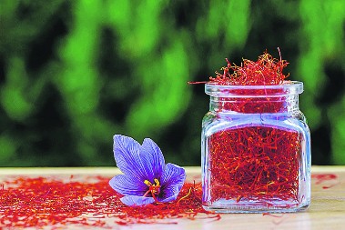 1 kilogram košta više od milion dinara: Evo kako sami da uzgojite najskuplji začin na svetu