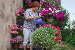 Genijalna caka da cveće preliva iz saksija: Samo vam je potrebna 1 jeftina namirnica i ostaćete u šoku od rezultata