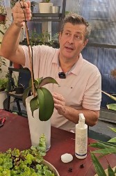 Evo kako da razmnožite lavandu, ruzmarin i smilje iz reznice: Najpoznatiji srpski baštovan Dejan otkriva trikove