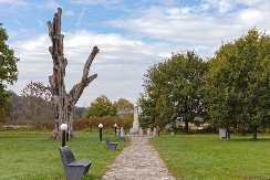 DRVO KOJE JE "PREDVIDELO" SUDBINU DINASTIJE, Obrenovići su sa strepnjom gledali u ovaj stari hrast: Pod njim je doneta istorijska odluka za Srbiju