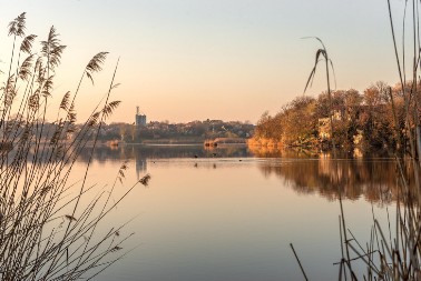 Misteriozno jezero Kraljevac kod Deliblata: Plutajuća ostrva i retke ptice na skrivenom biseru južnog Banata