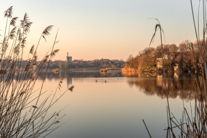 Misteriozno jezero Kraljevac kod Deliblata: Plutajuća ostrva i retke ptice na skrivenom biseru južnog Banata