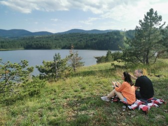 Podstolac: Zlatiborska staza skrivena među borovima koja vodi do netaknute divljine