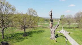 PROKLETSTVO TAKOVSKOG HRASTA: Obrenovići bili veoma sujeverni? Za ovo drvo se veruje da je predvidelo sve nesreće dinastije