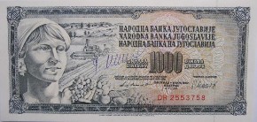 Da li znate ko je žena s najpoznatije jugoslovenske novčanice? "Sivu golubicu" niko nije uspeo da falsifikuje, a evo kako je postala slavna