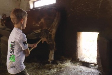 Bogdan sa dedom radi poslove na imanju - njegove ruke su male, ali spremne da pomognu: On je ponos svojih roditelja