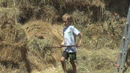 Najmlađi domaćin u Srbiji: Sedmogodišnji Bogdan sa dedom radi mnoge poslove na imanju - njegove ruke su male, ali spremne da pomognu