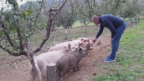 Vozio kamion u Francuskoj i radio kao obezbeđenje, a onda se vratio u svoje selo da bi bio gazda: Budimir sa Rudnika bavi se seoskim turizmom