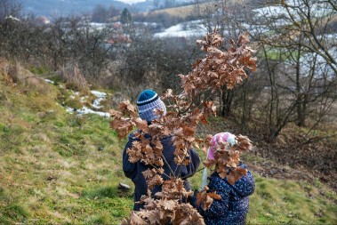 DANAS JE BADNJI DAN: Evo kako se pravilno badnjak unosi u kuću