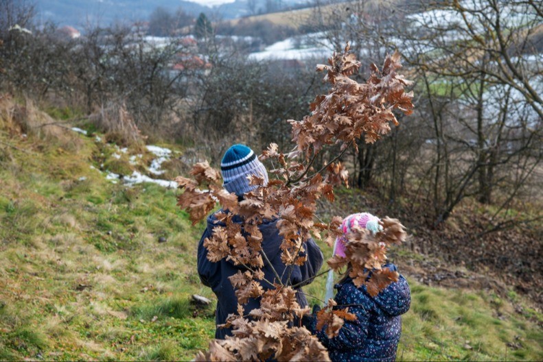 DANAS JE BADNJI DAN: Evo kako se pravilno badnjak unosi u kuću