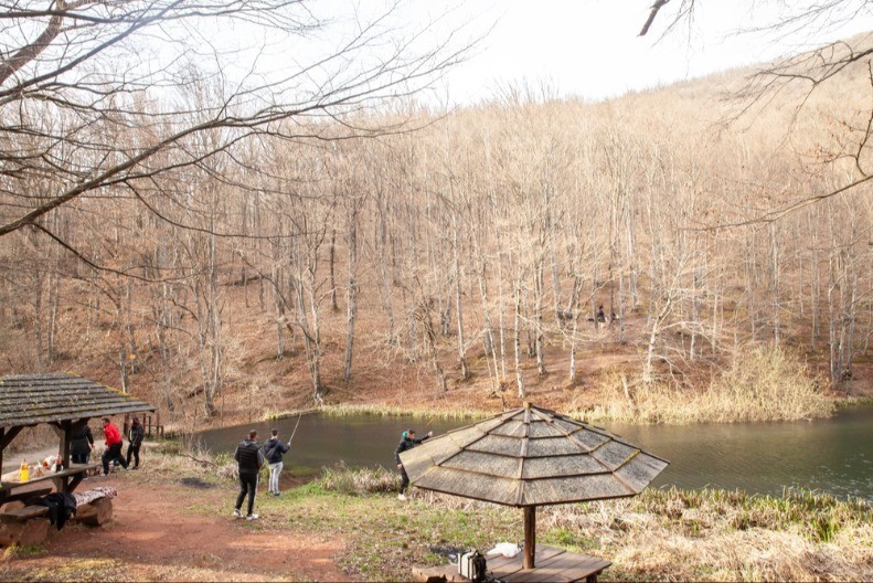 Vrelo Grze, prirodna oaza u kojoj vreme staje