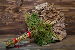 Šta se radi sa badnjakom posle Božića? Da li je greh ako ga bacite u kontejner?