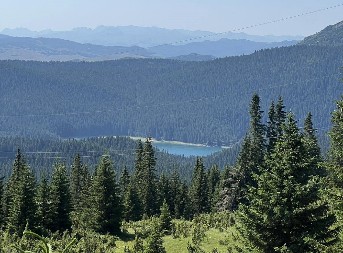 Milorad poklanja imanje od 15.000 kvadratnih metara u srcu Durmitora, potrebno ispuniti samo jedan uslov