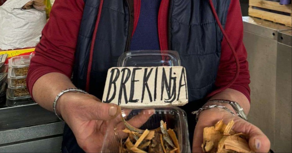 Brekinja snižava šećer i smanjuje holesterol - raste samo na nekoliko mesta u našem regionu